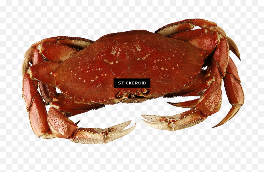 Download Crab Emoji,Crab Transparent Background