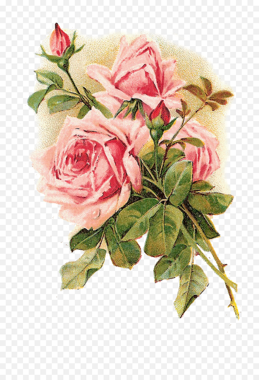 Rose Vintage Clothing Flower Pink Emoji,Vintage Roses Png