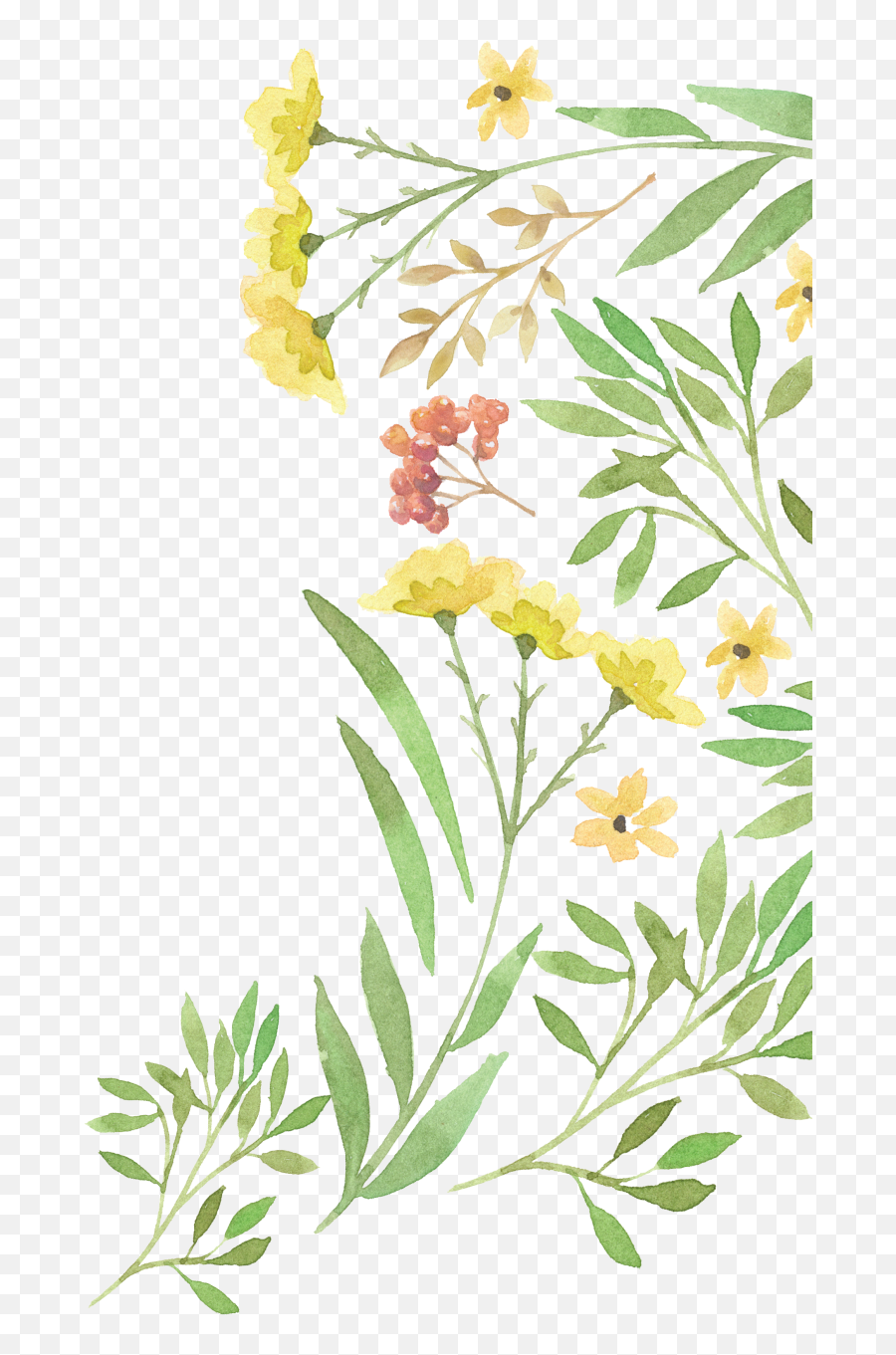 Download Free Png Green Watercolour Flower Png Image With Emoji,Green And Yellow Flower Logo