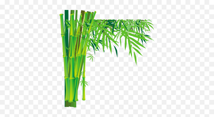 Green Long Stick Of Bamboo Trees Png Grass Chichewa Rapid - Transparent Background Bamboo Png Emoji,Growth Png
