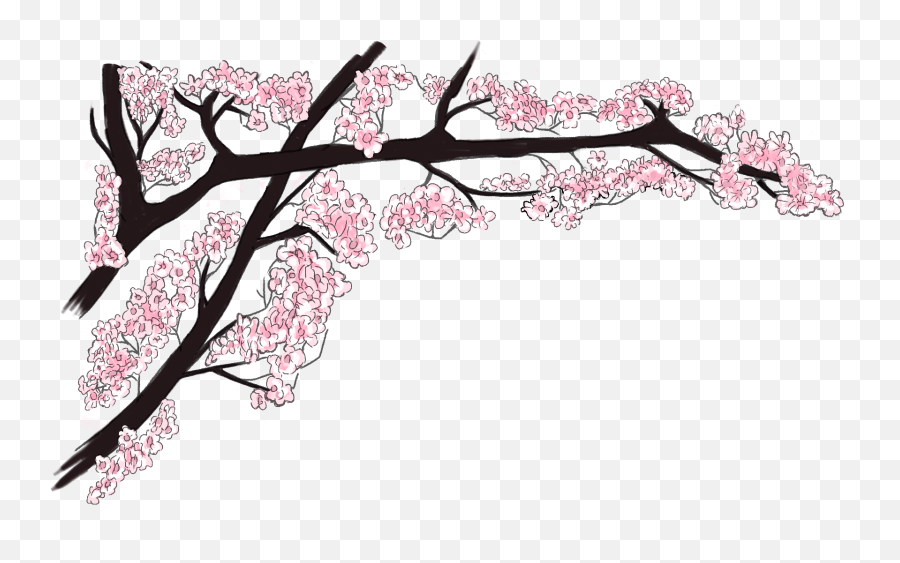 Download Bg Vetka 1 - Cherry Blossom Full Size Png Image Emoji,Cherry Blossoms Png