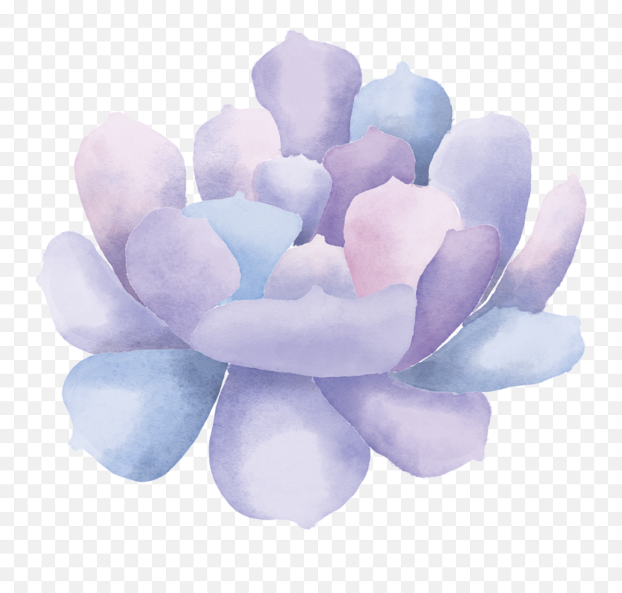 Download Watercolor Succulent Clip Art3 - Watercolor Emoji,Succulent Transparent Background