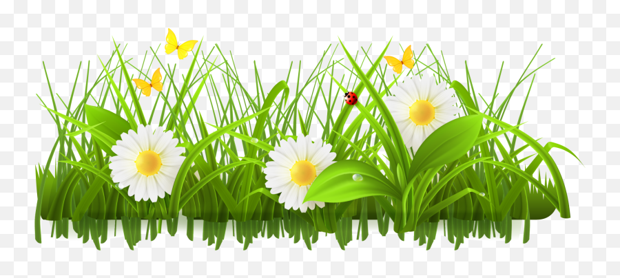 Daisy Clipart Springtime Flower Daisy - April Showers Bring May Flowers Border Emoji,Spring Flowers Clipart