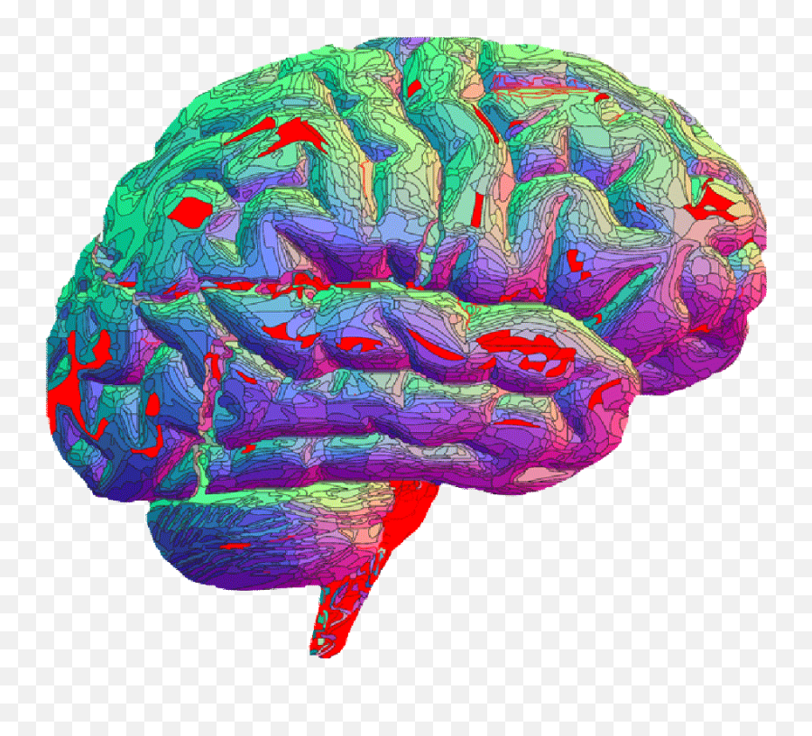 Brain Transparent Png Image With No - Transparent Brain Gif Emoji,Brain Transparent