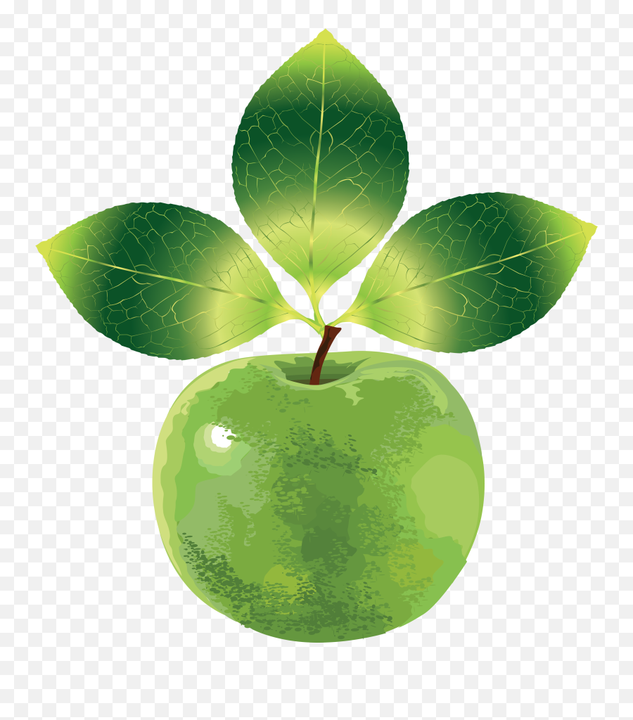 Apple Png - Green Apple With Leaves Clipart Emoji,Apple Transparent Background