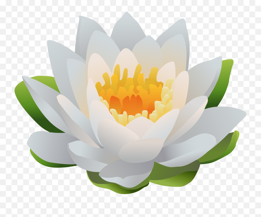 Free Water Lily Cliparts Download Free Clip Art Free Clip Emoji,Lily Pad Clipart
