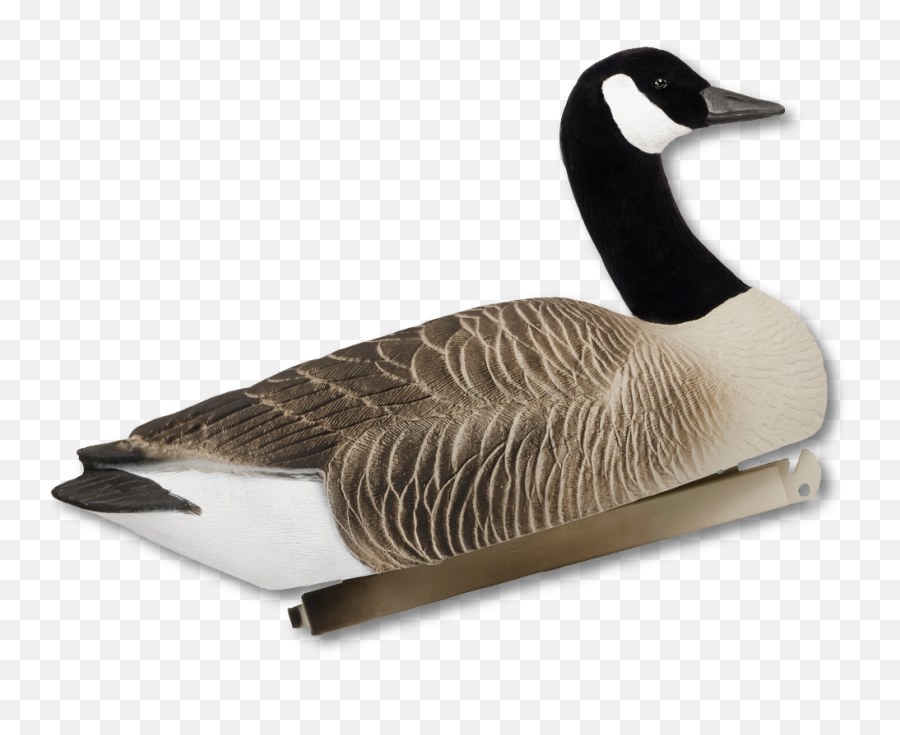 Ghg Greylag Full Body Decoys Fully - Canada Goose Emoji,Hunting Cliparts