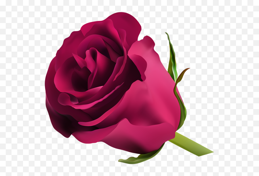 Pink Rose Png Clip Art Pink Rose Png Red Rose Png Purple - Dark Purple Purple Rose Png Emoji,Rose Clipart Png