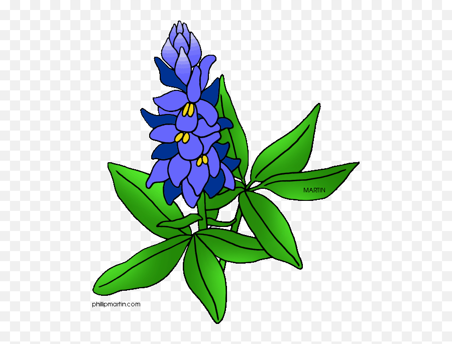 Texas State Flower - Bluebonnet Clipart Emoji,Texas Clipart