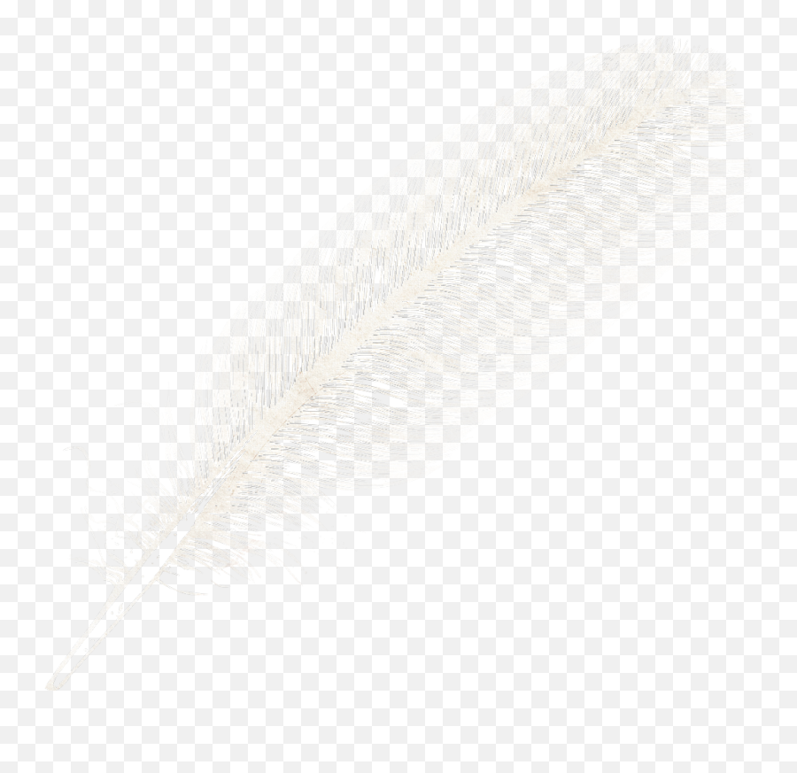 Boho Feather Png - Feather Png Emoji,Feathers Png