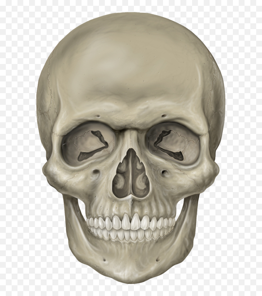 Skull Png - Skull Head Emoji,Skull Png