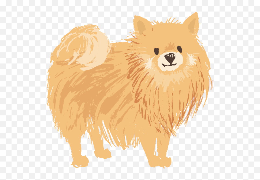 Pomeranian Tan Emoji,Pomeranian Png