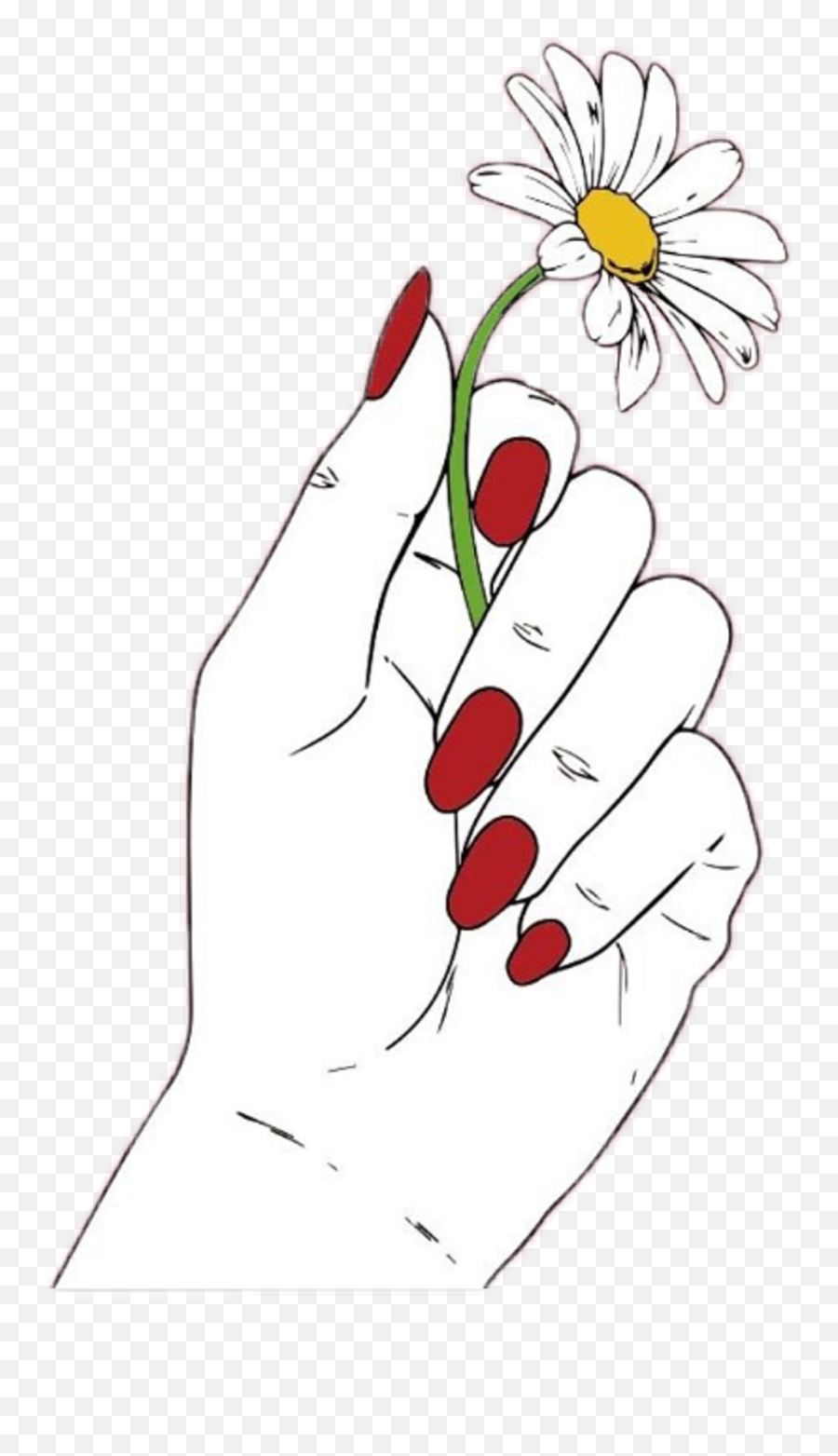 Download Daisy Flower Red Hand Nails White Draw Emoji,Daisy Flower Png