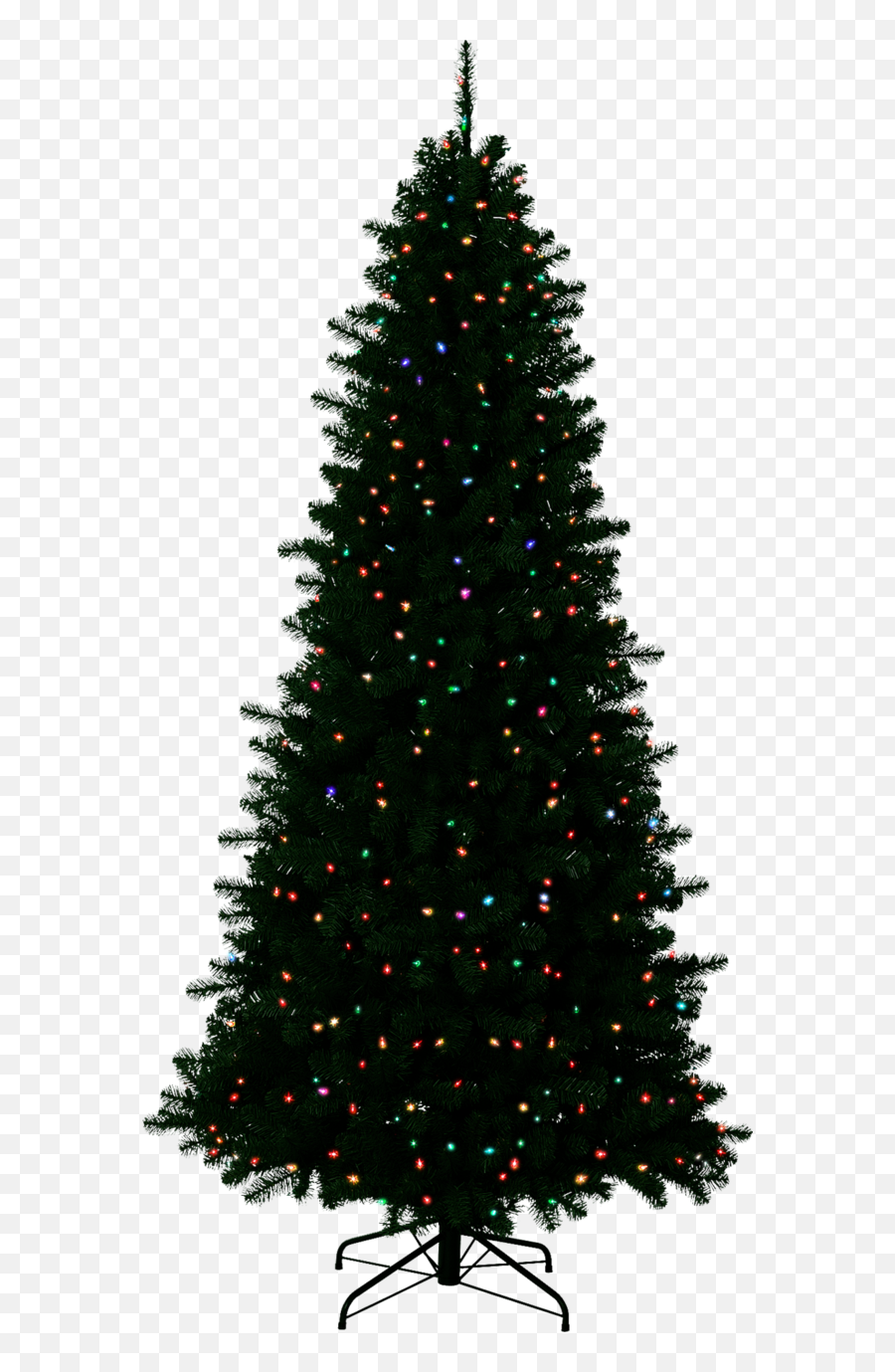Christmas Lights Border Png - Transparent Background Black Christmas Tree Png Emoji,Christmas Tree Transparent Background