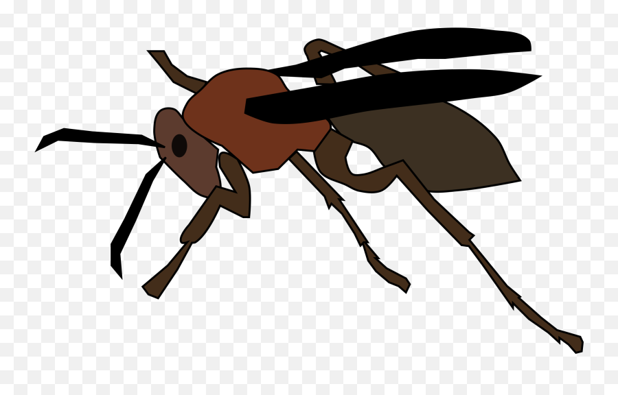 Insect Clipart Wasp - Paper Wasp Clipart Emoji,Insect Clipart