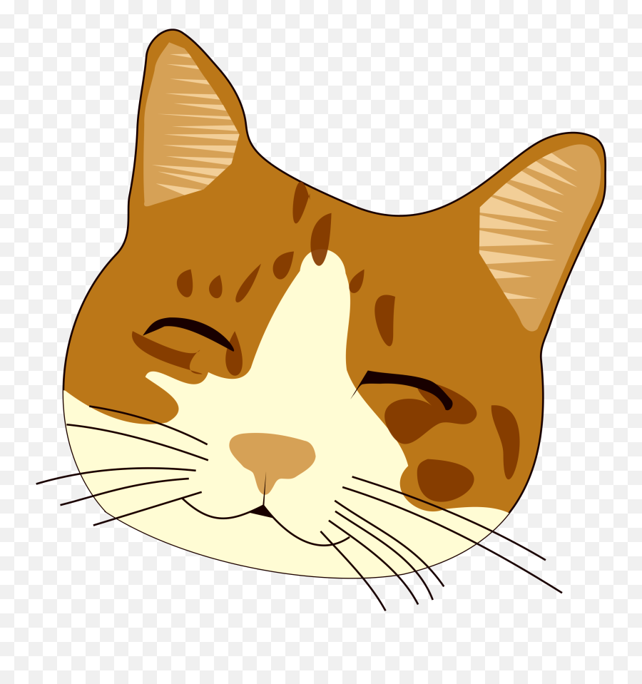 Transparent Background Cat Clip Art Transparent Cartoon - Transparent Cat Whiskers Clipart Emoji,Cat Transparent Background