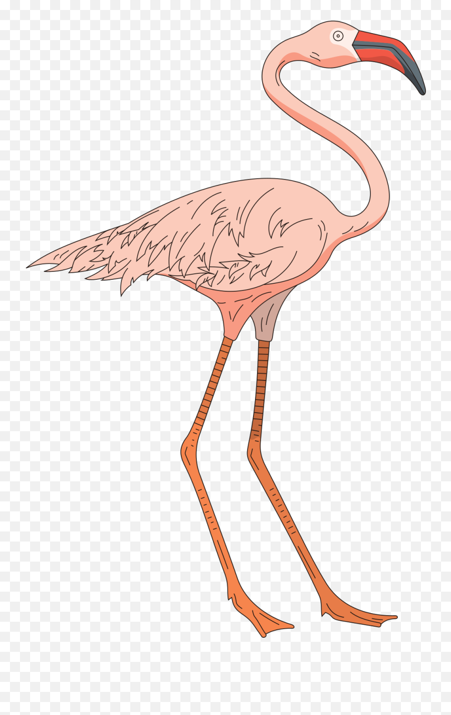 Pink Flamingo Clip Art Free Cliparts - 2 Legged Animals Clipart Emoji,Flamingo Clipart