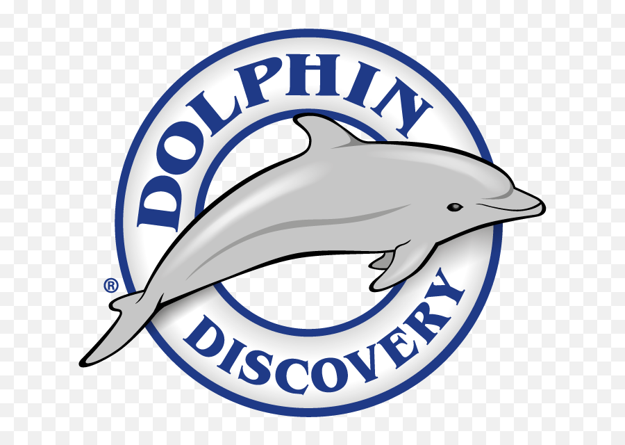 Dolphins Clipart Gray Dolphin Dolphins Gray Dolphin - Dolphin Discovery Los Cabos Logo Emoji,Dolphins Logo