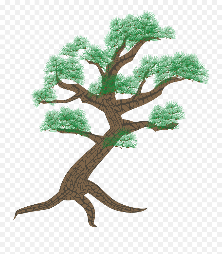 Pine Tree Clipart - Drawing Emoji,Pine Tree Clipart