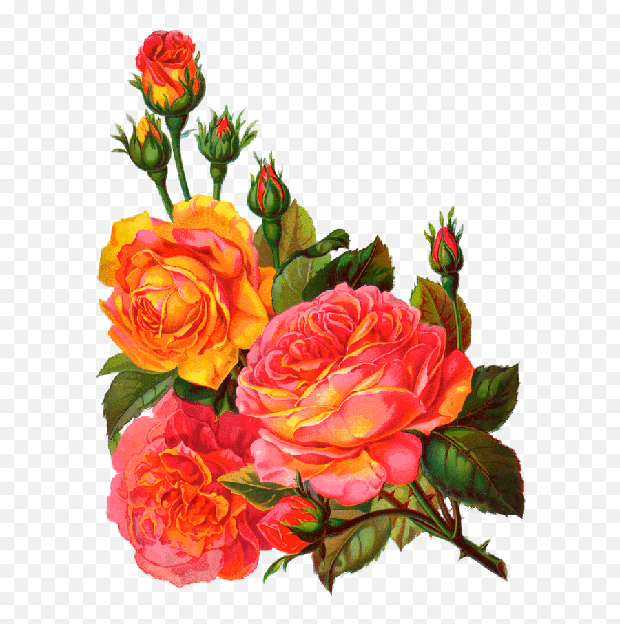 Vintage Roses Garden Clipart Emoji,Vintage Roses Png