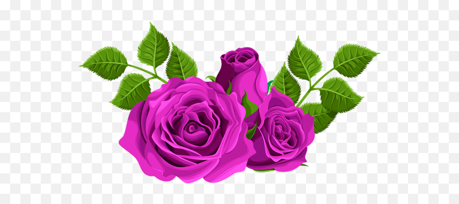 Purple Roses Decorative Png Clip Art Image Rose Flower Emoji,Purple Rose Png