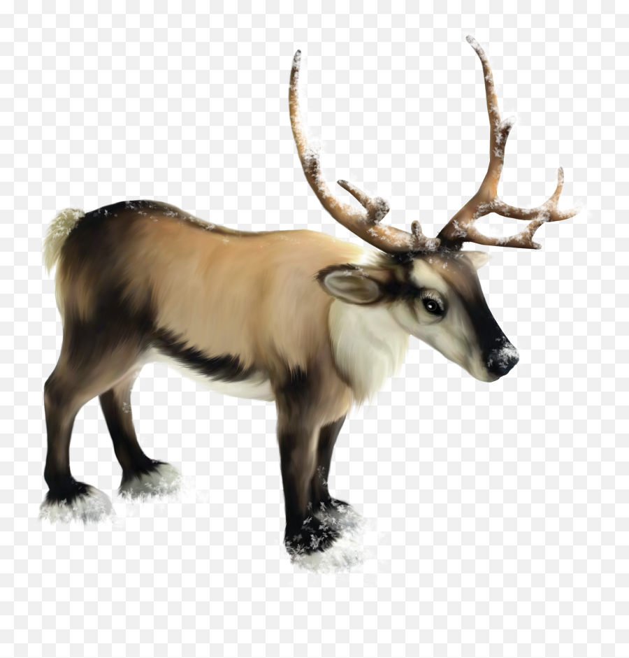 Reindeer Png Clipart Hq Png Image - Reindeer Transparent Background Emoji,Reindeer Clipart