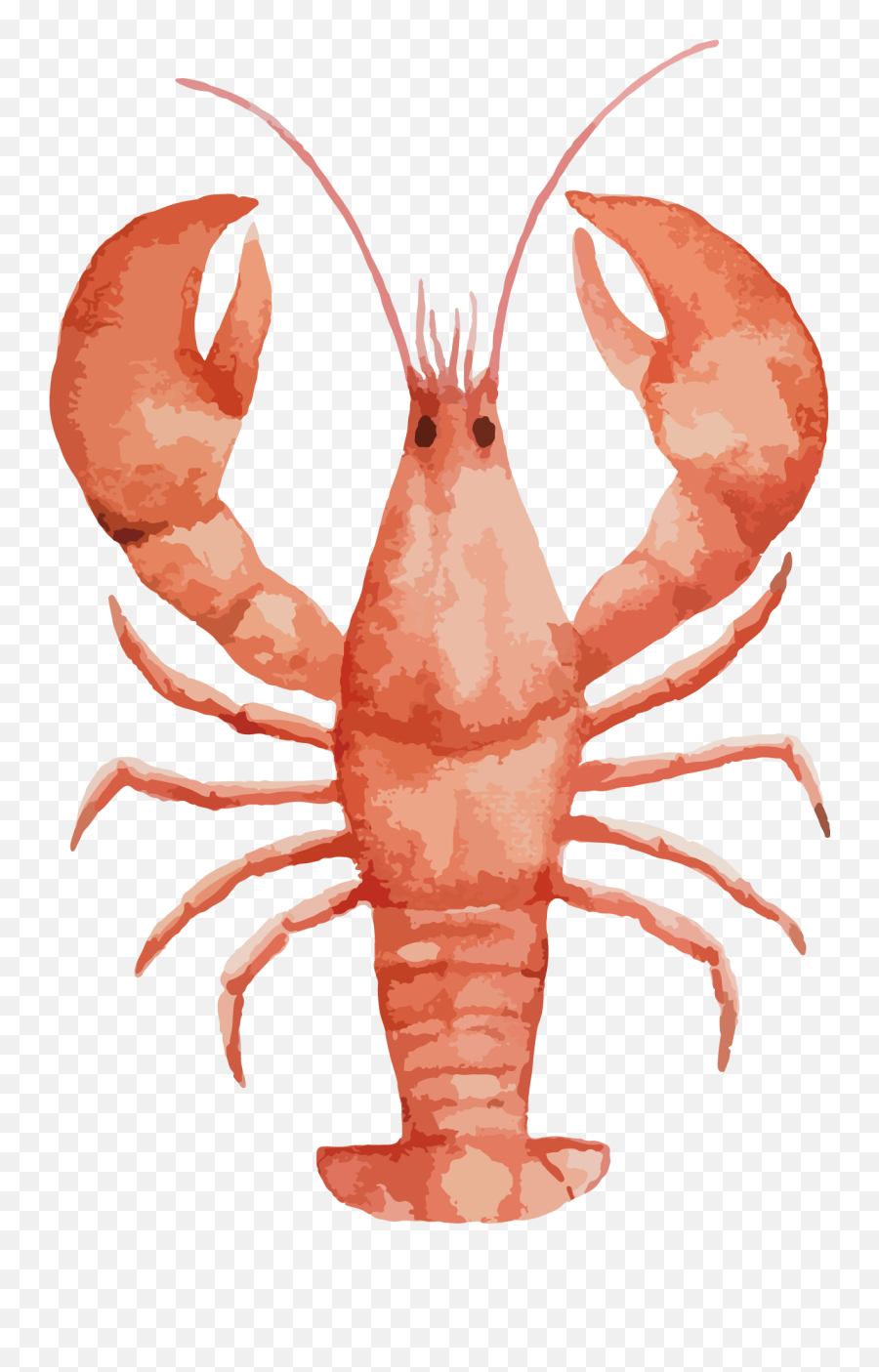 Lobster Watercolor Painting Seafood Painted Large Transprent - Watercolor Lobster Png Emoji,Crawfish Clipart