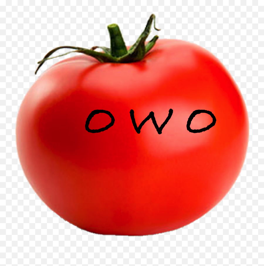 Download Hd Owo Tomato - Tomato Png Emoji,Owo Png