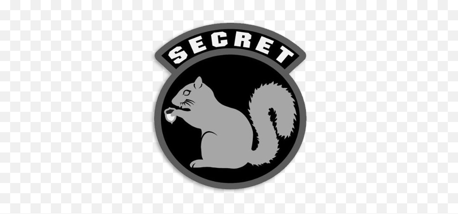 3d Pvc Rubber Top Secret Squirrel Usa Amry Military Tactical - Secret Squirrel Sticker Emoji,Squirrel Transparent