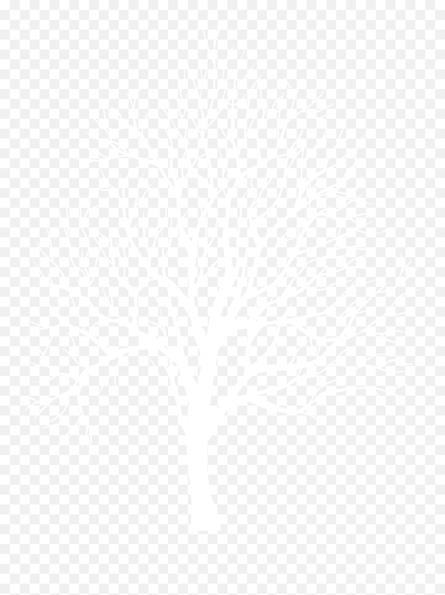 Download White Tree Silhouette Png Png - Transparent White Tree Png Emoji,Silhouette Png