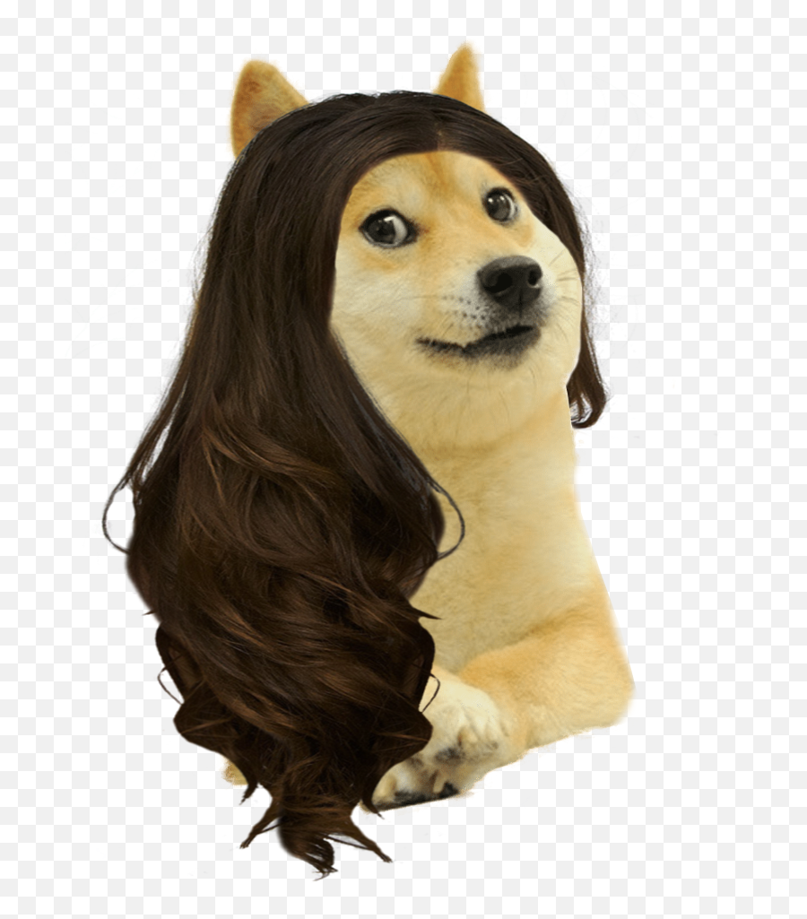 Doge - Doge Girl Png Emoji,Doge Png