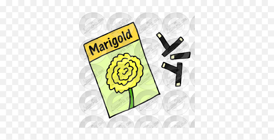 Marigold Seeds Picture For Classroom Therapy Use - Great Rose Emoji,Seeds Clipart