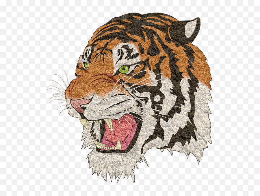 Tiger Png Lion - Tiger Images Png Emoji,Png Images