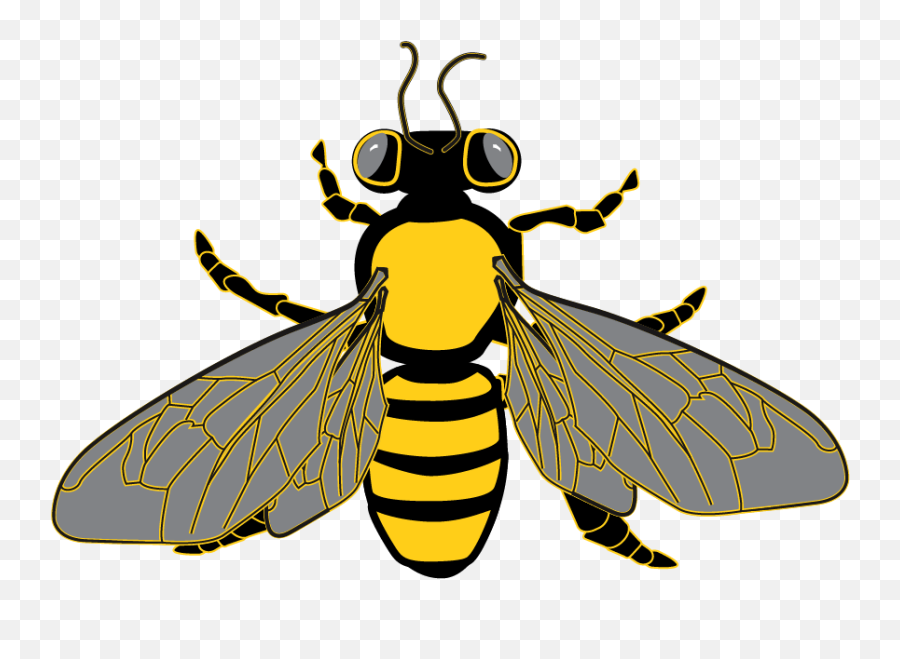 Bee Graphic From Clipart Package Bee Clip Art Graphic - Africanized Bees Clipart Emoji,Beehive Clipart