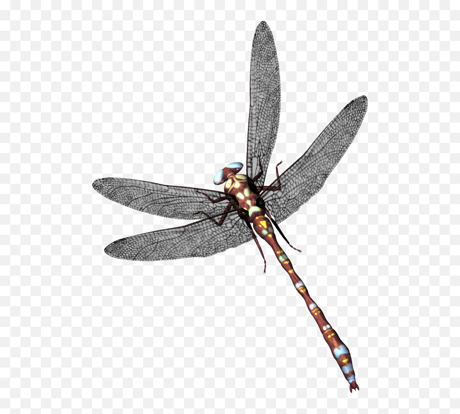 Dragonfly Png - Capung Emoji,Dragonfly Png