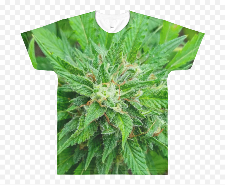 Download Image Of Jaimaca Weed Pillow Mug All Over Shirt - Hemp Emoji,Cannabis Png