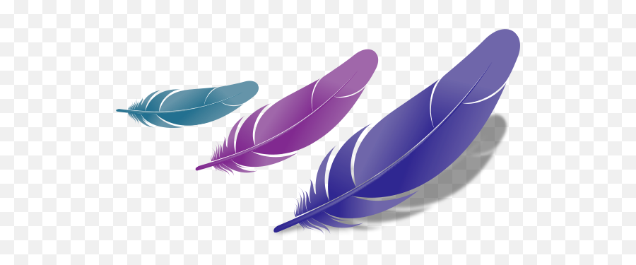 Free Download Bird Feather Png Fascinating Feathers 572x294 - Feathers Of Bird Png Emoji,Peacock Feather Png