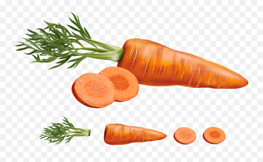 Download Carrot Juice Vegetable Carrots - Vegetables Sliced Realistic Carrot Drawing Emoji,Carrot Transparent Background