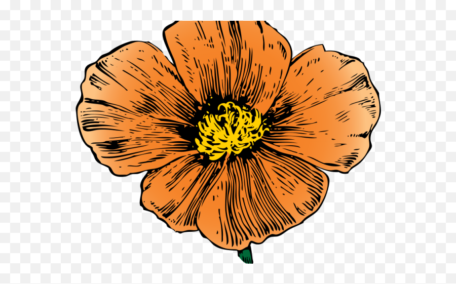 Orange Flower Clipart Mexican Flower - Golden Poppy Drawings Emoji,Poppy Flower Clipart