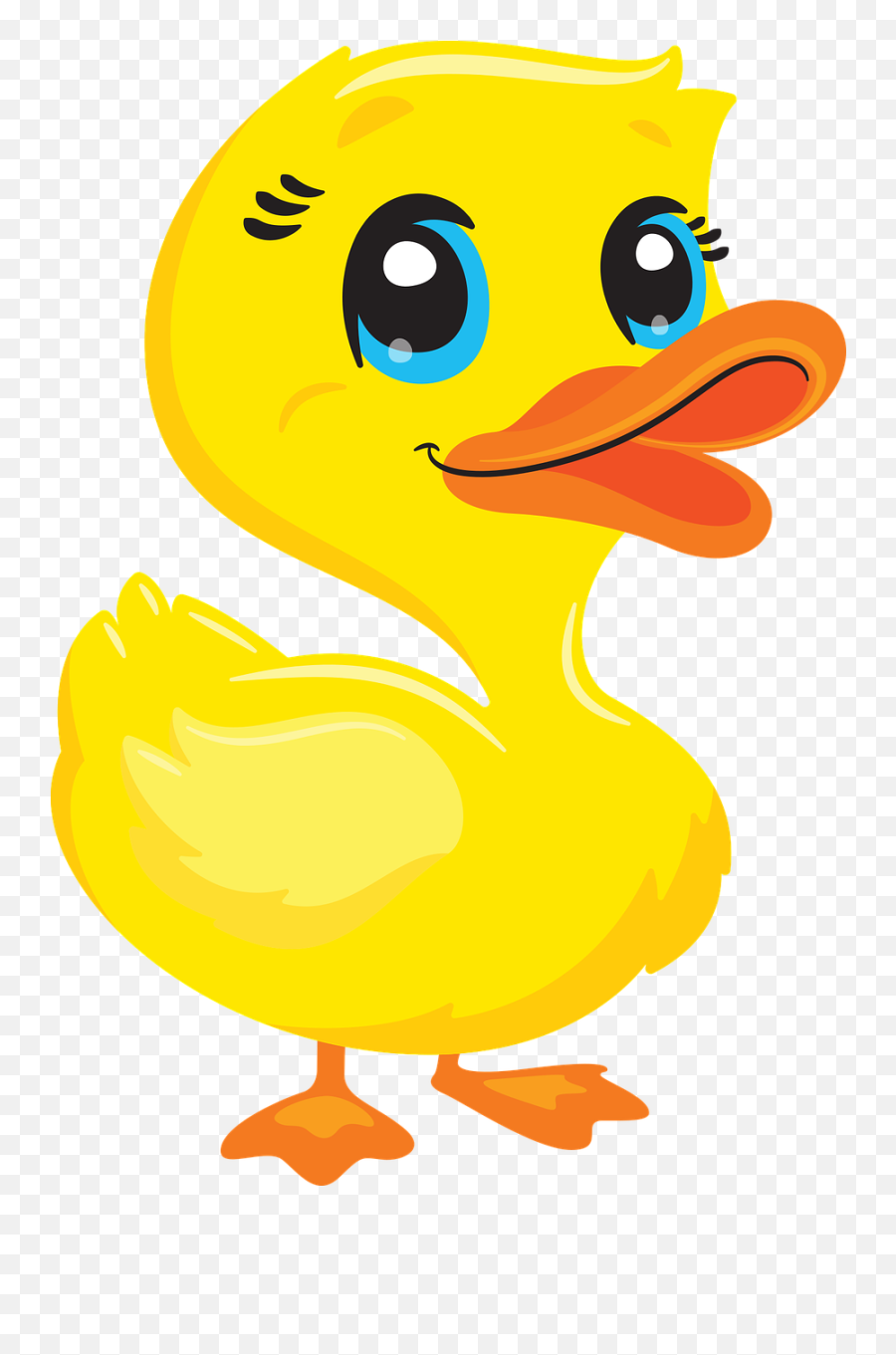 Duck Animal Vector - Free Vector Graphic On Pixabay Emoji,Duck Face Clipart