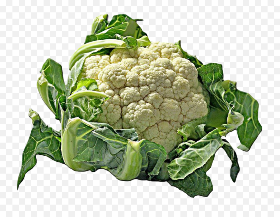 Vegetables Clipart Emoji,Broccoli Clipart Black And White