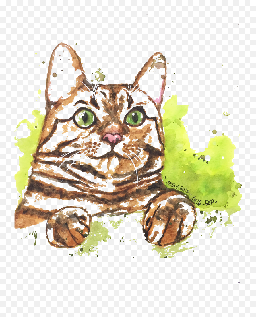 Kitten Clipart Watercolor - Cat Full Size Png Download Domestic Cat Emoji,Kitten Clipart