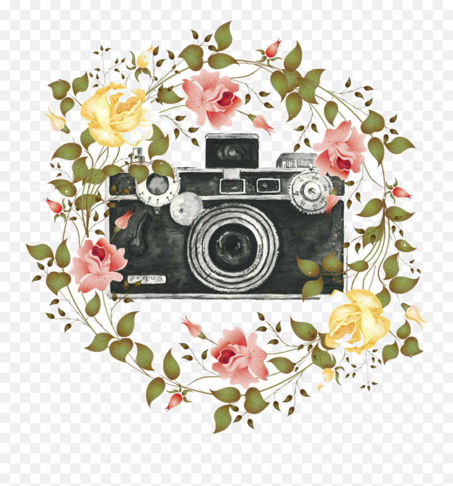 Testimonials U2014 Moments By Jennifer Photography Emoji,Flower Wreath Png