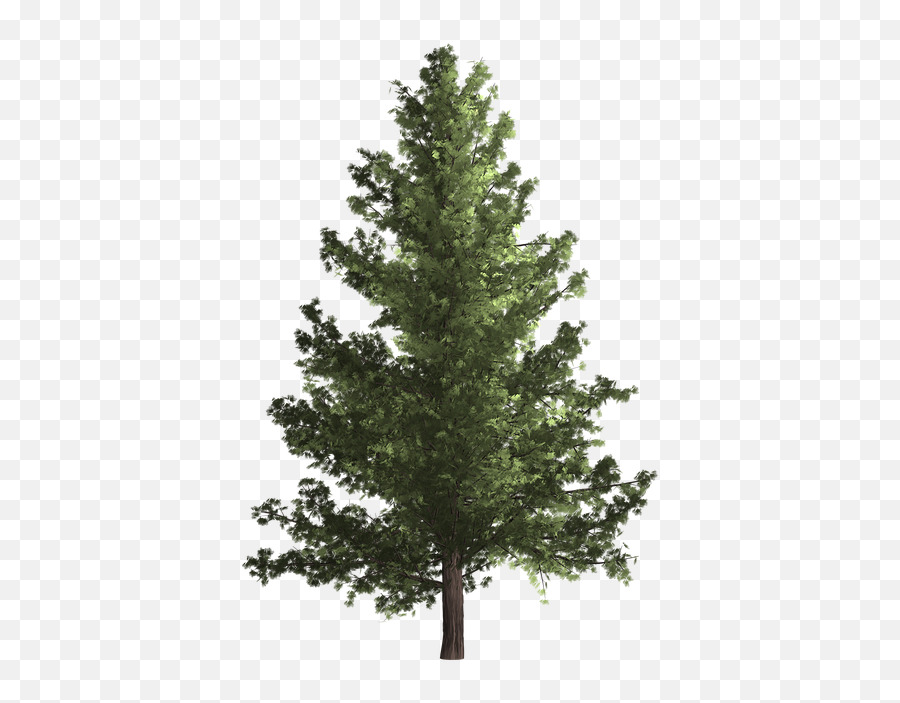 Tree Nature Bush - Free Image On Pixabay Emoji,Green Tree Png