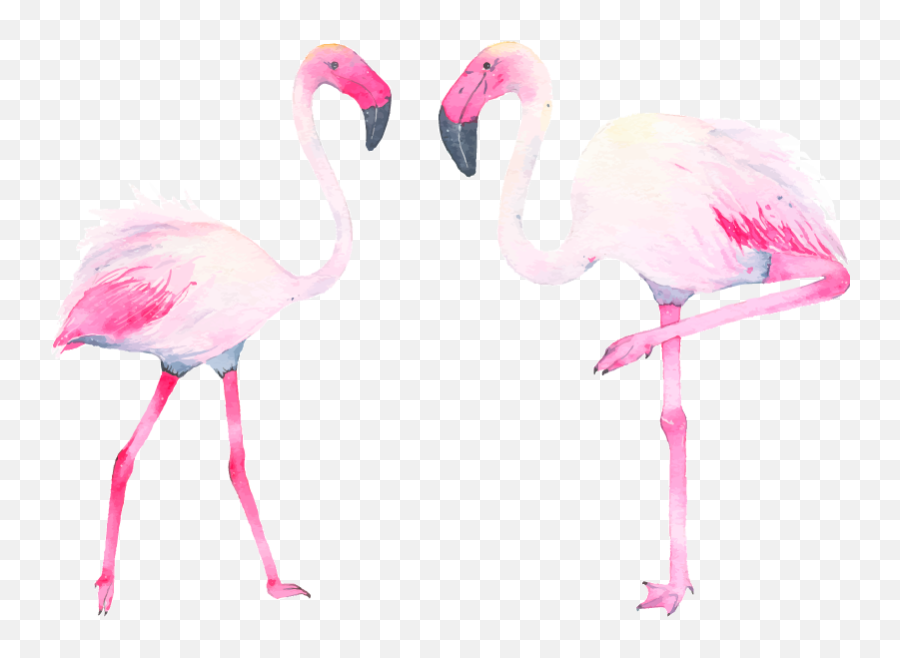 Two Watercolour Flamingos Bird Wall Sticker - Tenstickers Emoji,Pink Flamingos Clipart