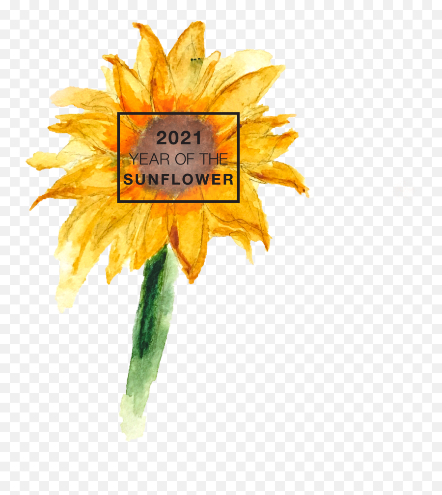 The Sunflower - Sunflowers New Year 2021 Emoji,Sunflower Logo