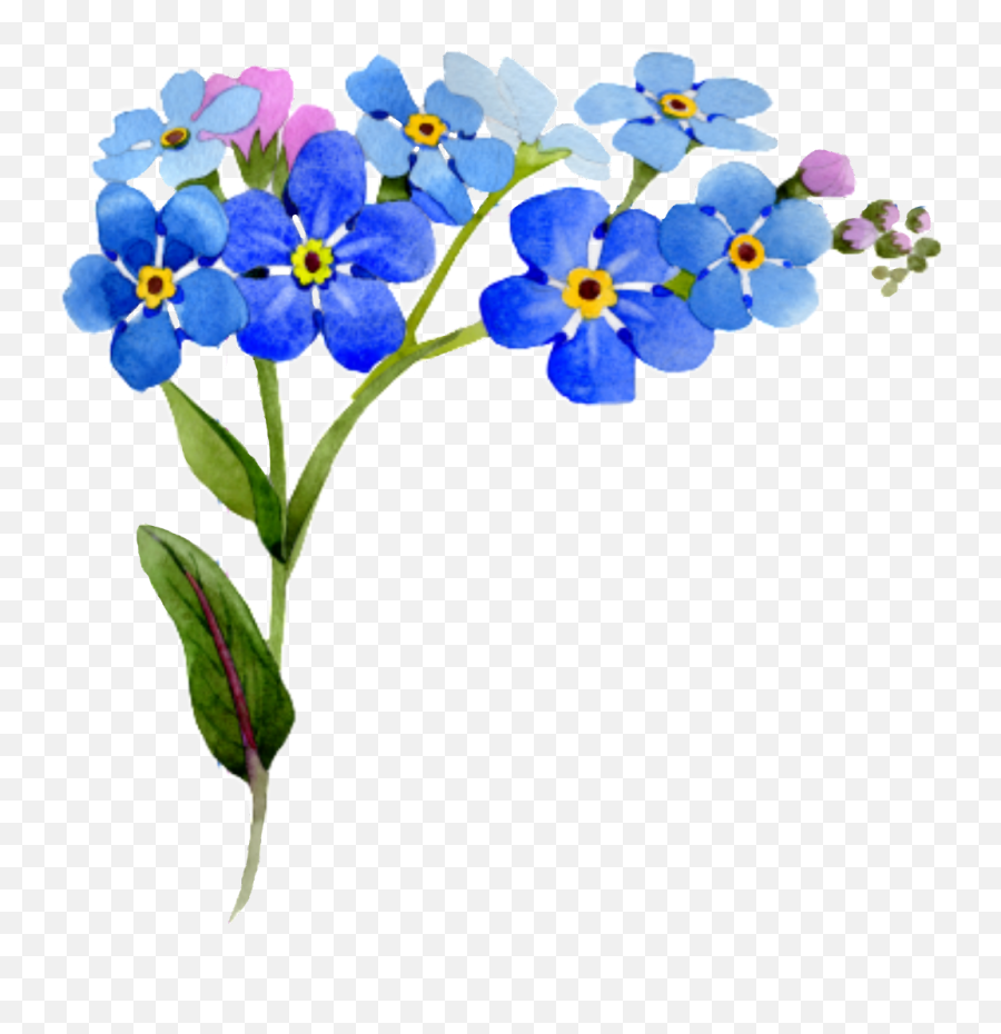 Flower Corner Interesting Nature - Watercolor Blue Floral Blue Flower Frame Png Emoji,Forget Me Not Flowers Clipart