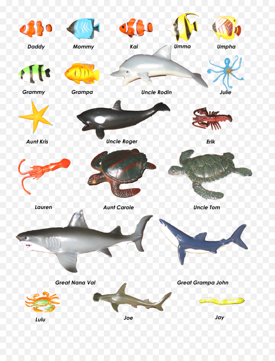Sea - Animal2gif Sea Animals Ocean Creatures Ocean Animals Two Water Animal Name Emoji,Sea Animals Clipart
