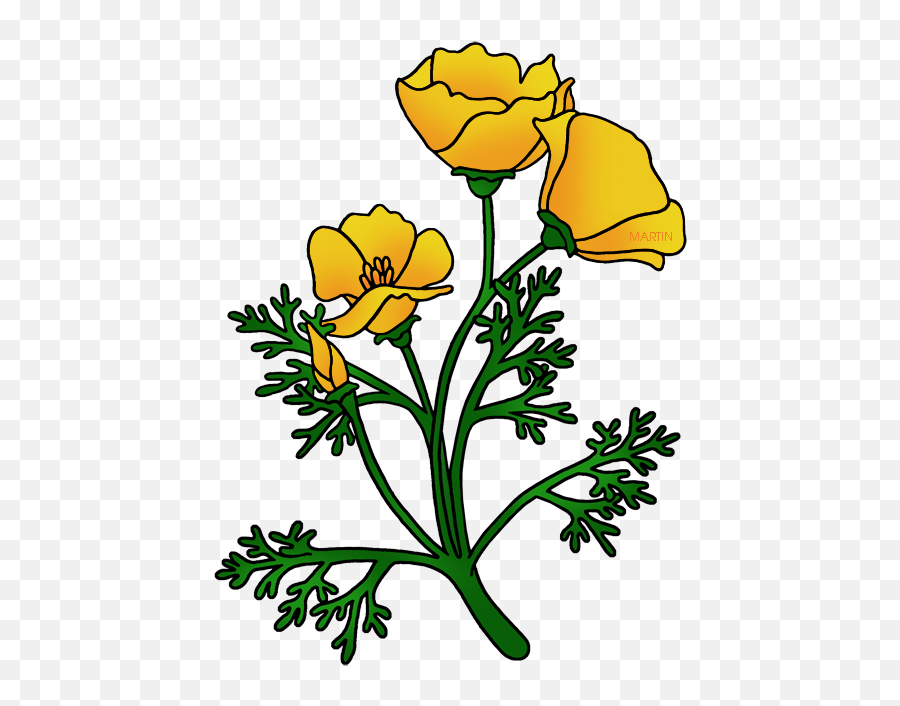 Buttercup Flower Clipart At Getdrawings - California Flower Emoji,Poppy Flower Png