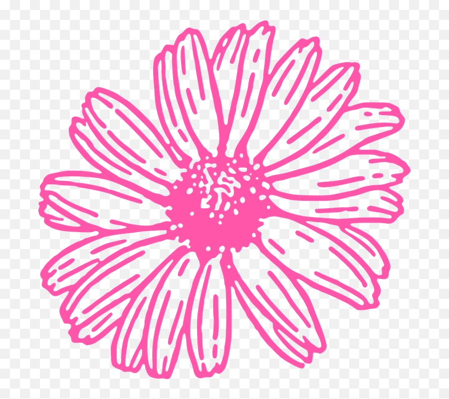 Free Photo Flower Daisy Nature Summer Spring Floral Pink Emoji,Summer Flower Clipart